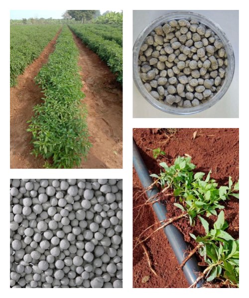 ammonium sulfate fertilizer